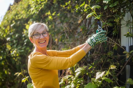 Portrait of happy senior woman gardening. She is pruning plants.