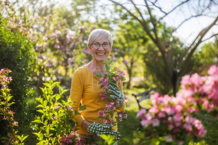 Photo for Happy senior woman enjoys looking at flowers in her garden. - Royalty Free Image
