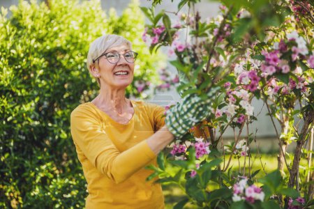 Foto de Feliz mujer mayor disfruta mirando flores en su jardín. - Imagen libre de derechos