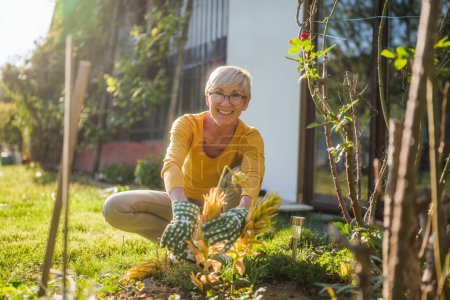 Photo for Happy senior woman gardening. She is pruning plants. - Royalty Free Image