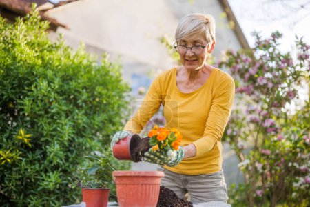 Foto de Feliz jardinería de mujeres mayores en su jardín. Ella está plantando flores.. - Imagen libre de derechos