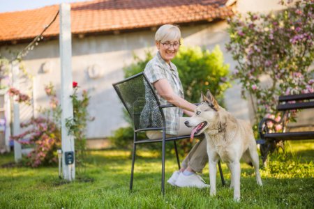 Téléchargez les photos : Heureuse femme âgée et son chien husky aiment passer du temps ensemble dans leur cour. - en image libre de droit