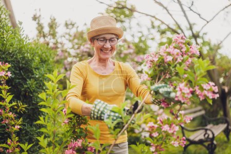 Photo for Portrait of happy senior woman gardening. She is pruning flowers. - Royalty Free Image
