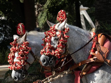 Pferde mit Sattlerdetails für Kutschpferde auf der Málaga Messe