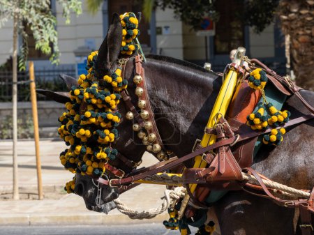 Ornamente auf dem Kopf von Maultieren auf der Messe in Malaga