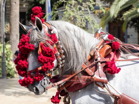 Ornements sur la tête des mules de chariot à la foire de Malaga