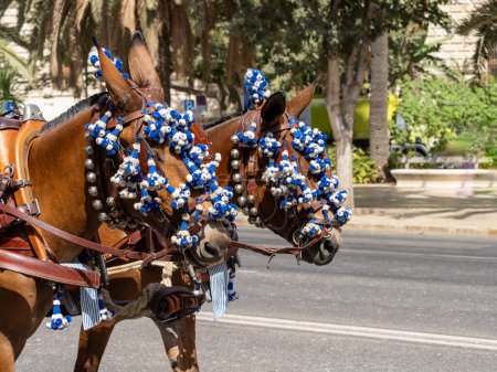 Ornamente auf dem Kopf von Maultieren auf der Messe in Malaga