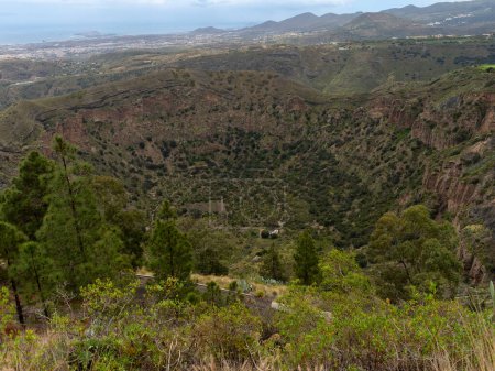 Panoramic view of the Bandama caldera , 1000 meters in diameter and 200 meters deep in Gran Canaria , Spain