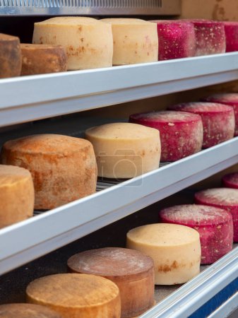 Exhibitor with a selection of artisanal cheeses of different typical and traditional flavors of Gran Canaria