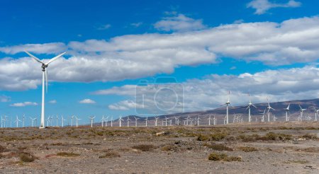 Wind farm with turbine fans as a renewable energy alternative