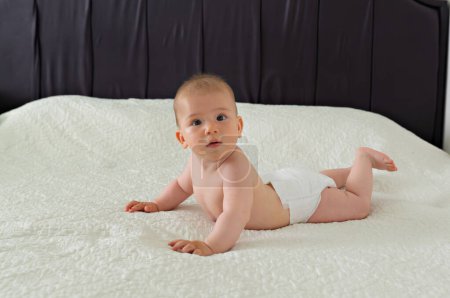 Photo for Little cute 6 month old baby in a diaper lies on his stomach on a white blanket - Royalty Free Image