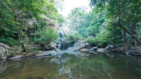 The tranquil beauty of a small waterfall flowing into a forest pool, surrounded by lush green foliage.
