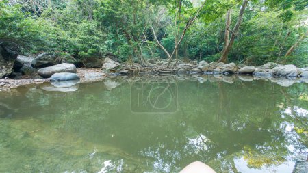 view of a serene forest pond surrounded by lush greenery and boulders.