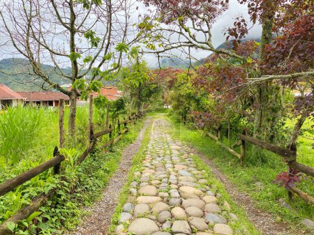 A serene cobblestone pathway winds through lush green countryside, flanked by trees and rustic wooden fences, with distant mountains and rural houses.