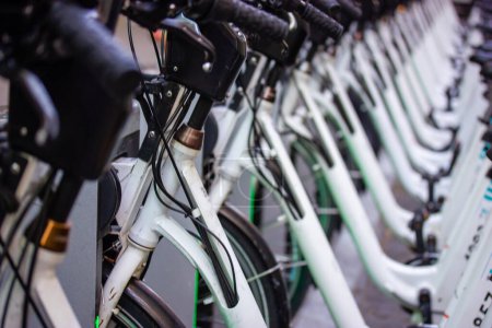Foto de Un montón de bicicletas blancas de pie en una fila en el estacionamiento de bicicletas. Alquilar y compartir bicicletas. Transporte ecológico para los deportes, viajar en una ciudad. Alquiler de transporte verde. Manillar, ruedas, marcos de bicicleta - Imagen libre de derechos