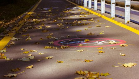 Téléchargez les photos : Sentier pour randonneurs avec des marques jaunes spéciales sur la route asphaltée allant dans une certaine distance, un panneau rond rouge interdisant le vélo. Infrastructure à la station automnale. Pas de concept de vélo. Un chemin pour les promenades. - en image libre de droit