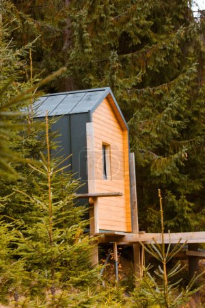 Modern wooden cottage in pine forest among evergreen trees in a daytime. Constructor building made from sandwich panels in green woods. New dwelling modular house exterior. Modular style architecture 