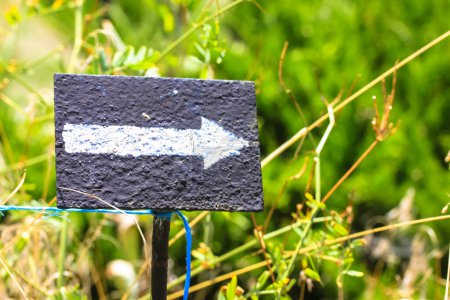 Photo for Black sign with a white direction arrow pointing a way, right road in a botanical garden at sunny day in spring, summer, autumn season. Natural green background. Waymarker painted on a wooden backdrop - Royalty Free Image