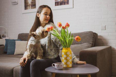 Foto de Kyiv, Ukraine. 19 January 2022 Young woman with a Yorkshire Terrier small dog sitting on a couch in modern interior. Vase with spring orange tulips on a table. Cozy home interior atmosphere Girl, pet - Imagen libre de derechos