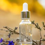Empty decorative glass cosmetics jar with a dropper on a stone platform on a blurred natural beige background among dry branches. A cosmetic product serum to care for the skin of the face of the body.