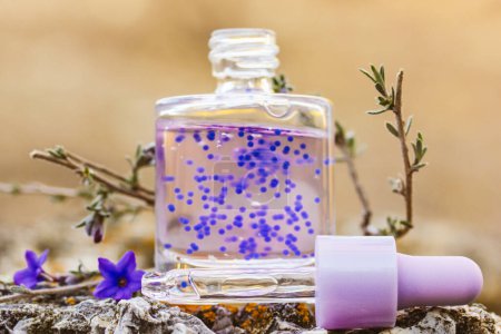 Photo for Cosmetic bottle with facial serum. Glass jar with a dropper. Purple cuticle oil with pellets has lavender scent. Beauty treatment concept. Anti aging products. Alternative medicine Copy space for text - Royalty Free Image