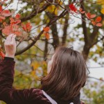 Young brown-haired woman touching tree branch with colorful red-yellow-green foliage in autumn park. A girl enjoying a walk relaxing in nature in a fall season Back view female tourist discover nature