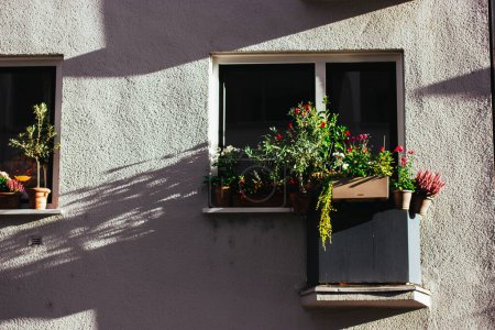 Alte historische weiße Häuserfassade, Blumen schmücken die Fenster. Einfachheit und Authentizität im Detail. Charmantes malerisches europäisches Dorf. 