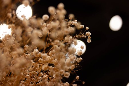 Dried beige flowers on a black background. Small dried inflorescences of wildflowers. Floral composition in dark interior. Floristic, wedding concept.
