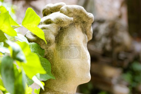 Gypsum garden statue of a woman in sunlight. Stone female head among green trees. An old monument on a cemetery. Romantic young lady portrait.