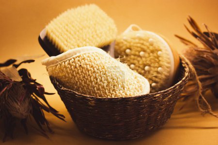 A basket of hard-bristled massage brushes. Body skin care tools concept. Beauty products. Still life with women's cosmetics and dry exotic flowers. 