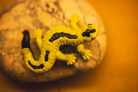 Salamandra de fuego europea amarilla y negra sentada sobre una roca de piedra vista sobre fondo amarillo. Naturaleza salvaje. Lindo juguete anfibio. Reptil tóxico. 