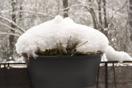 invierno alemania naturaleza al aire libre nieve
