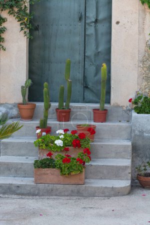 Motif méditerranéen, escalier en pierre avec pots de fleurs et cactus
