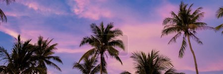 Téléchargez les photos : Ciel couchant avec des nuages de palmiers à Phuket Thaïlande. Palmiers verts en arrière-plan du ciel - en image libre de droit