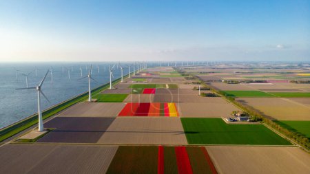 Foto de Energía verde Parque de molinos de viento con turbinas de molinos de viento en Holanda - Imagen libre de derechos