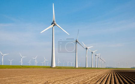 Foto de Parque de molinos de viento con turbinas de molinos de viento en los Países Bajos y cielo azul - Imagen libre de derechos