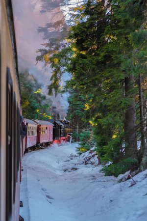 Téléchargez les photos : Train à vapeur pendant l'hiver dans la neige dans le parc national du Harz Allemagne, Train à vapeur Brocken Bahn sur le chemin à travers le paysage hivernal, Brocken, Harz Allemagne - en image libre de droit
