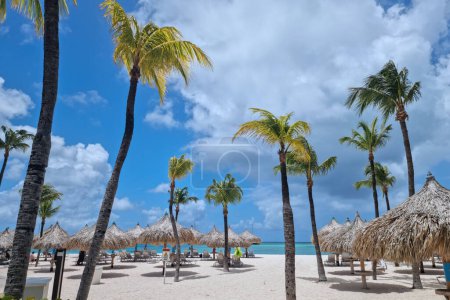 Téléchargez les photos : Palm Beach Aruba Caraïbes, longue plage de sable blanc avec palmiers aux Antilles Aruba par une journée ensoleillée - en image libre de droit