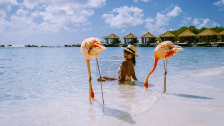 Photo for Aruba beach with pink flamingos at the beach, flamingo at the beach in Aruba Island Caribbean. A colorful flamingo at the beachfront, a woman on the beach with two flamingos - Royalty Free Image
