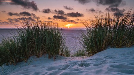 Téléchargez les photos : Plage de l'île de texel au coucher du soleil aux Pays-Bas - en image libre de droit
