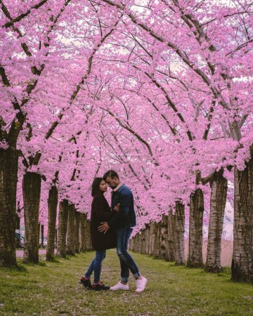 Photo for Sakura Cherry blossoming alley. park with rows of blooming cherry sakura trees and a green lawn in spring, Netherlands. Pink flowers of the cherry tree. a couple of men and a woman - Royalty Free Image