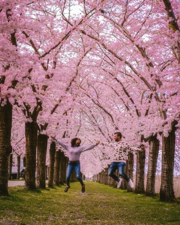 Photo for Sakura Cherry blossoming alley. park with rows of blooming cherry sakura trees and a green lawn in spring, Netherlands. Pink flowers of the cherry tree. a couple of men and a woman - Royalty Free Image