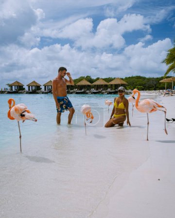 Foto de Playa de Aruba con flamencos rosados en la playa, flamenco en la playa en la isla de Aruba Caribe. Un colorido flamenco en primera línea de playa, un par de hombres y mujeres en la playa de mediana edad hombre y mujer - Imagen libre de derechos