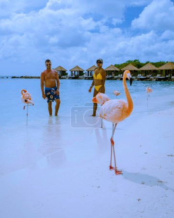 Foto de Playa de Aruba con flamencos rosados en la playa, flamenco en la playa en la isla de Aruba Caribe. Un colorido flamenco en primera línea de playa, un par de hombres y mujeres en la playa de mediana edad hombre y mujer - Imagen libre de derechos