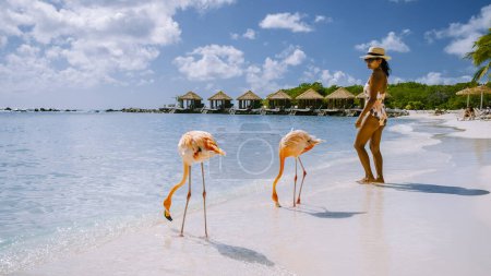 Photo for Aruba beach with pink flamingos at the beach, flamingo at the beach in Aruba Island Caribbean. A colorful flamingo at the beachfront, a couple of men and woman on the beach mid age man and woman - Royalty Free Image