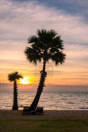 Téléchargez les photos : White tropical beach during sunset in Pattaya Najomtien. Palm trees at the beach during sunset. - en image libre de droit