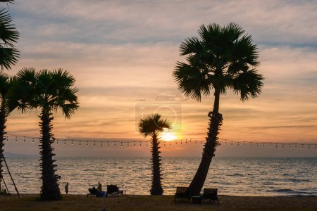 Photo for White tropical beach during sunset in Pattaya Najomtien. Palm trees at the beach during sunset. - Royalty Free Image