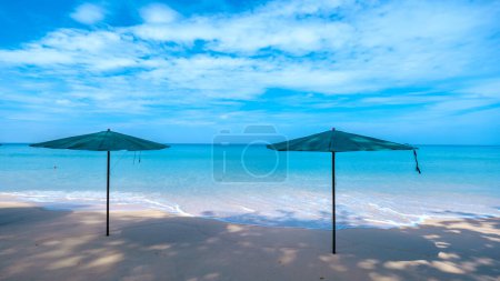 Photo for Surin beach with palm trees and beach chairs on a sunny day in Phuket Thailand. - Royalty Free Image