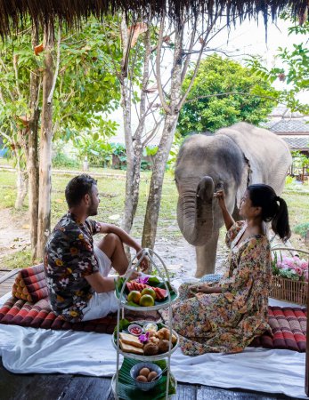 Téléchargez les photos : A couple visiting an Elephant sanctuary in Chiang Mai Thailand, an Elephant farm in the mountains jungle of Chiang Mai Thailand. - en image libre de droit