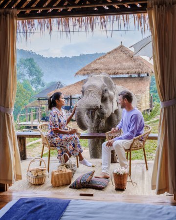 Téléchargez les photos : A couple visiting an Elephant sanctuary in Chiang Mai Thailand during vacation, an Elephant farm in the mountains jungle of Chiang Mai Thailand. - en image libre de droit